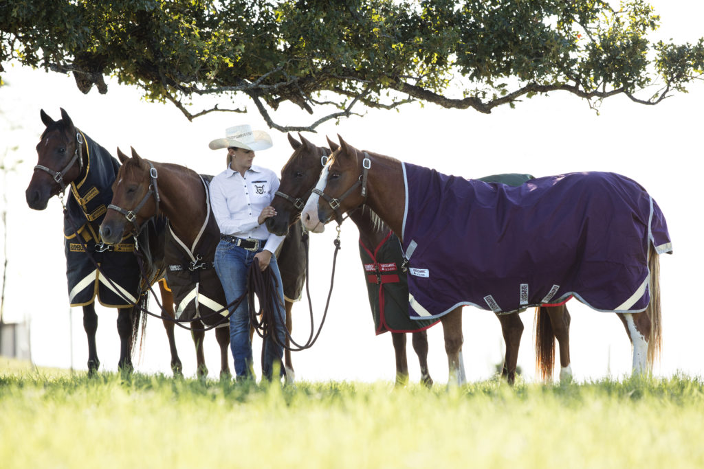 Horseware, Crown Ranch, Texas 2016