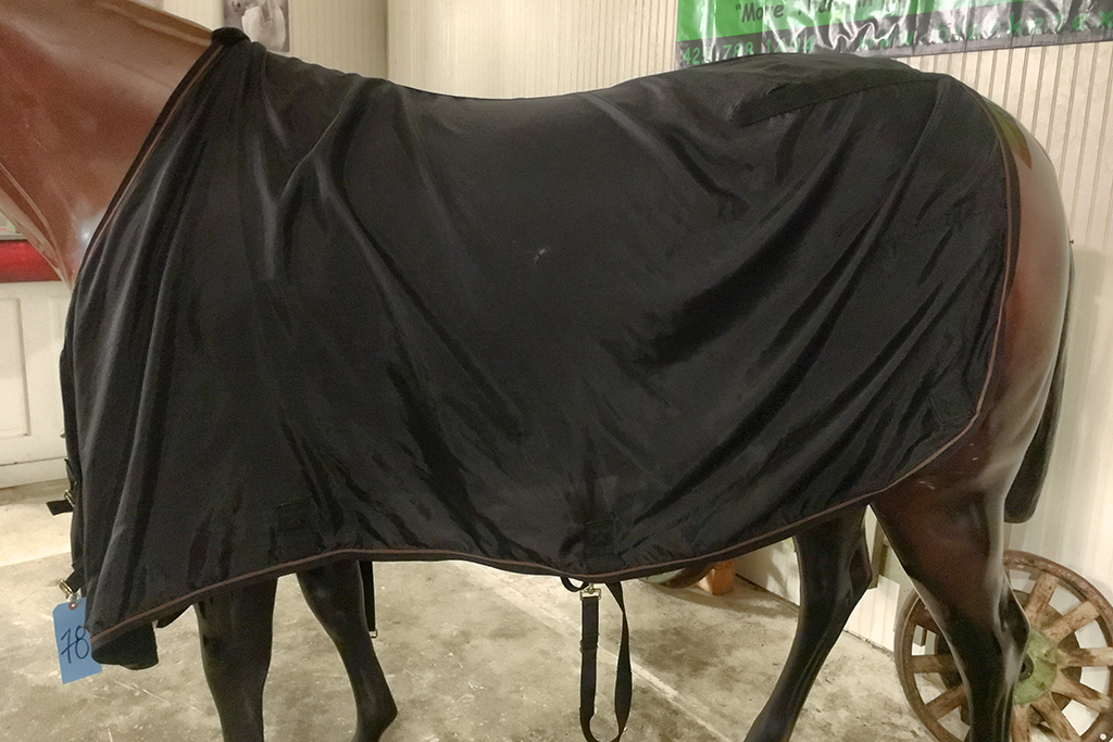 IMG_4428_SS_78_1040_124 Blanket Express